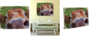 Creative Gallery Close-Up Cow Wants to Meet You 20" x 16" Canvas Wall Art Print